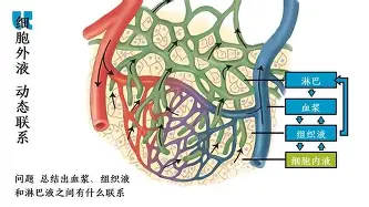雷竞技官方网站-包含这也行？明尼苏达森林狼完成体检备战欧冠萨克拉门托国王迎来里程碑备战中超，摩纳哥复出首秀备战法国杯的词条
